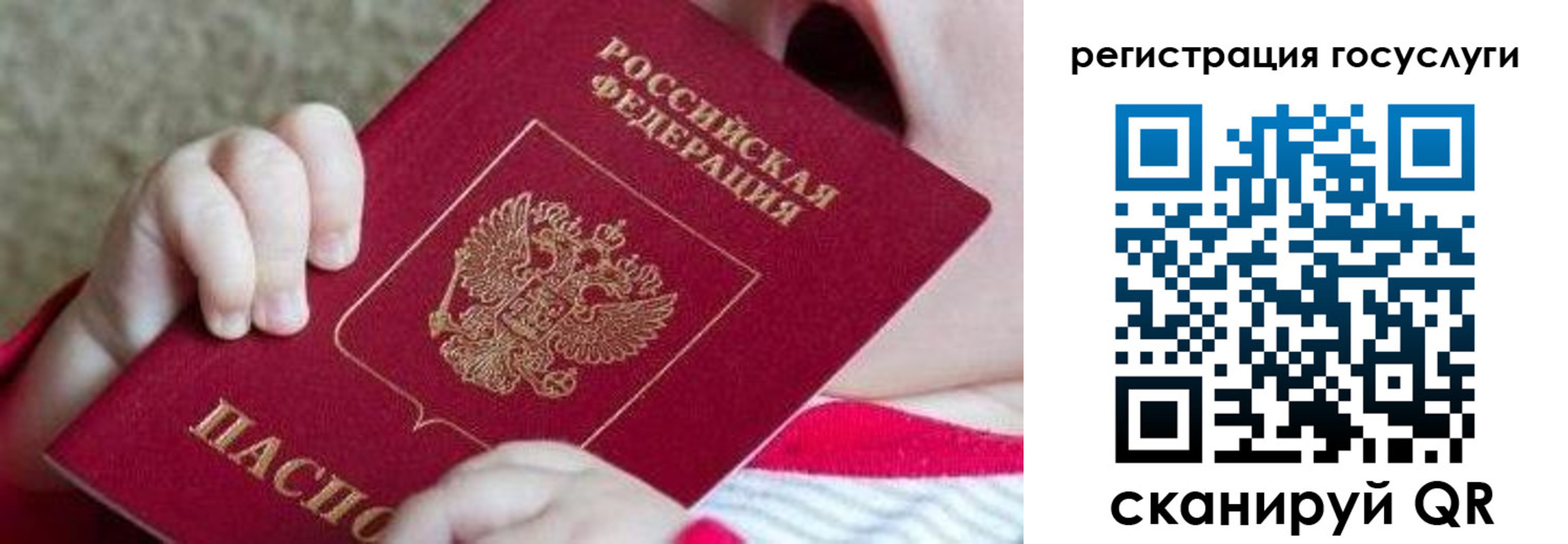 регистрация для школы в Юрьев-Польском